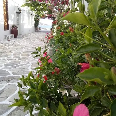 Mare Monte Hotel Ios