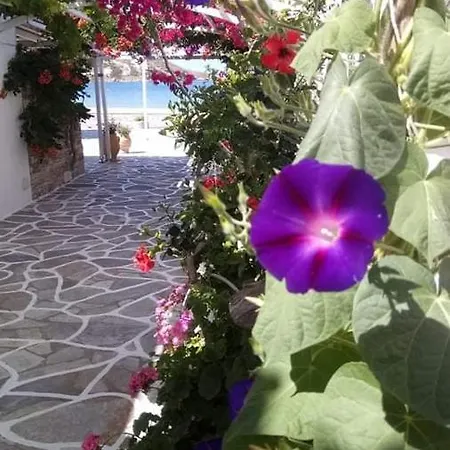 Mare Monte