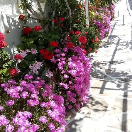 Hotel Mare Monte