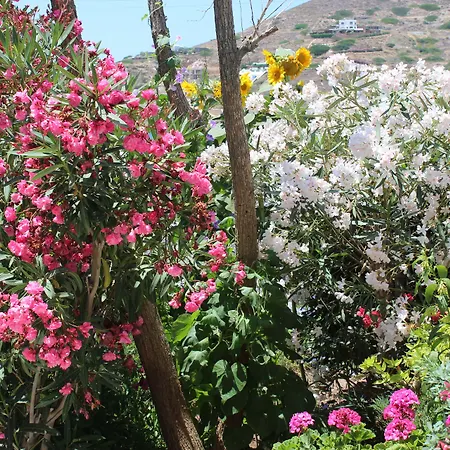 Mare Monte Hotel Ios