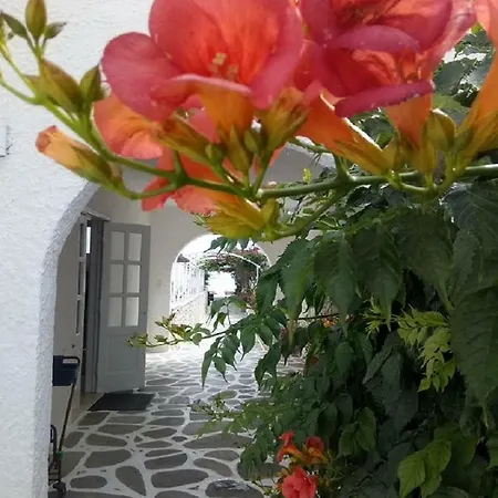 Szálloda Mare Monte 2*