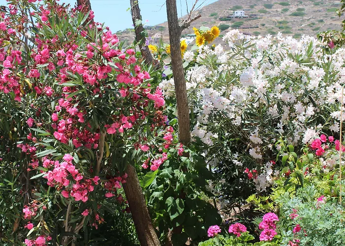 Mare Monte Otel Chora (Ios)